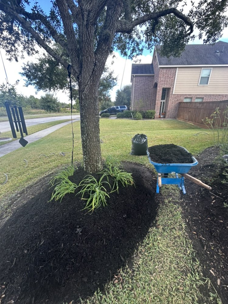 Landscaping & Tree Services